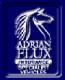 Adrian Flux Car Insurance